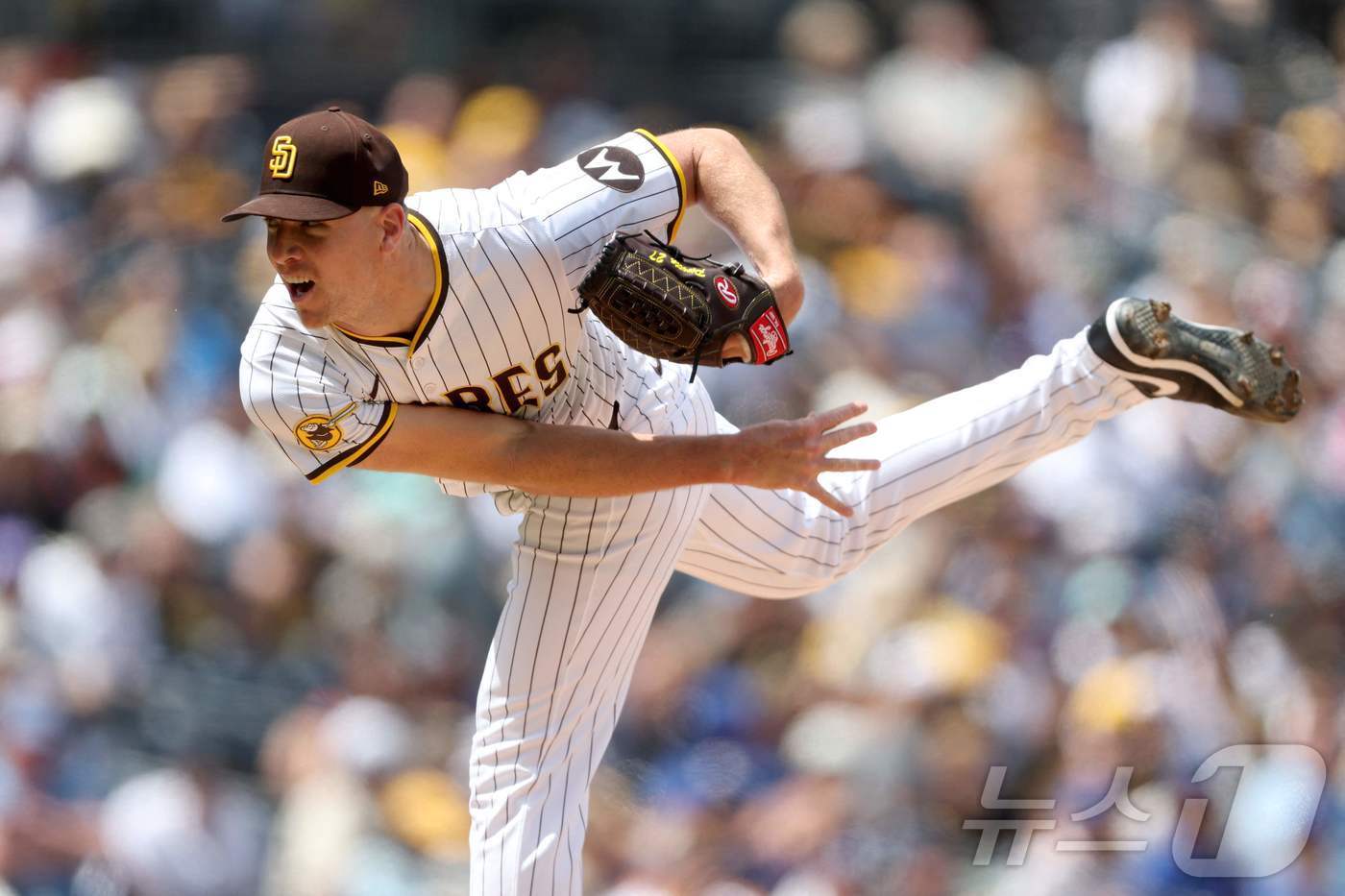 본문 이미지 - 샌디에이고 파드리스 투수 닉 피베타는 28일 현재 메이저리그 전체 평균자책점 3위, 다승 공동 3위에 올라 있다. ⓒ AFP=뉴스1