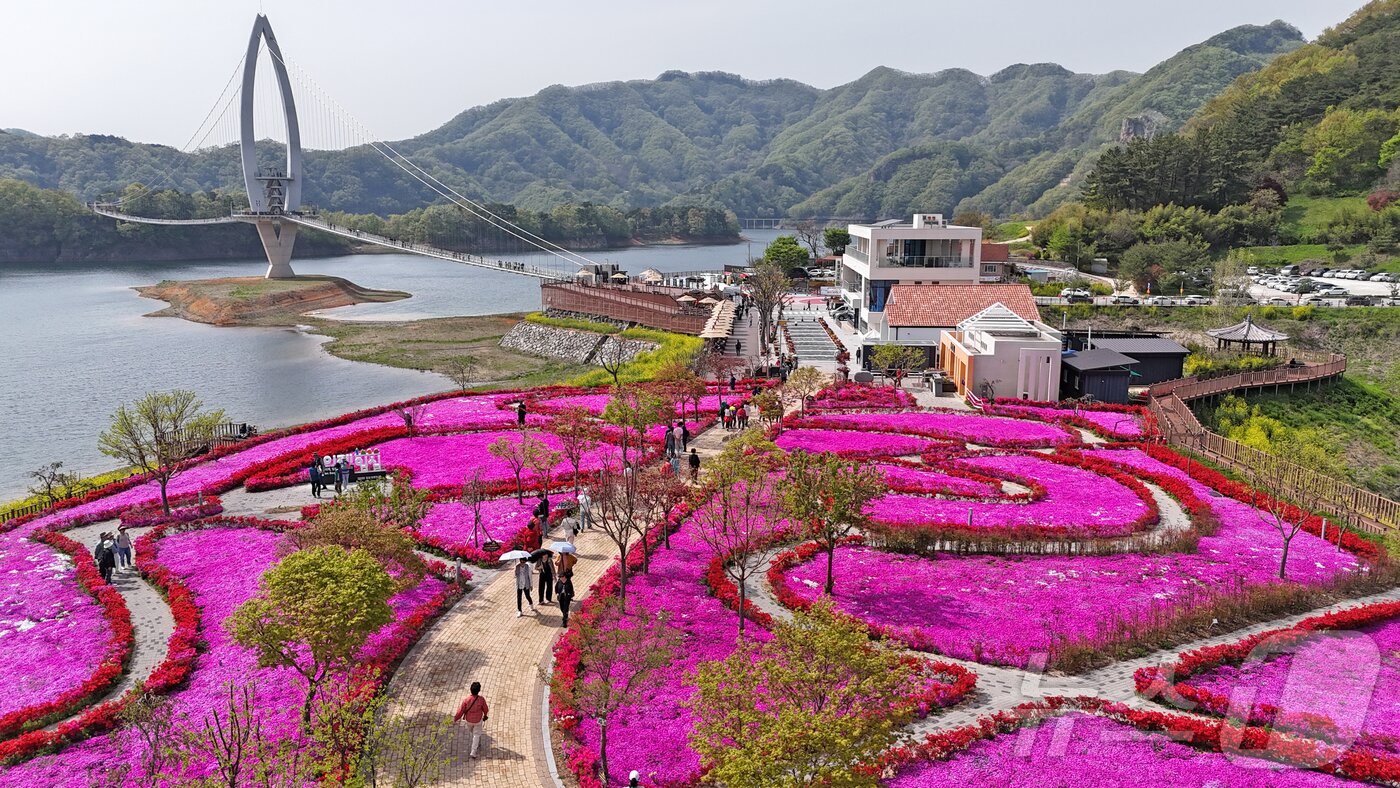 본문 이미지 - 전북자치도 임실군 옥정호 붕어섬 요산공원에 꽃잔디와 철쭉이 활짝 핀 모습. (임실군제공. 재판매 및 DB금지)2025.4.29/뉴스1 ⓒ News1 김동규 기자