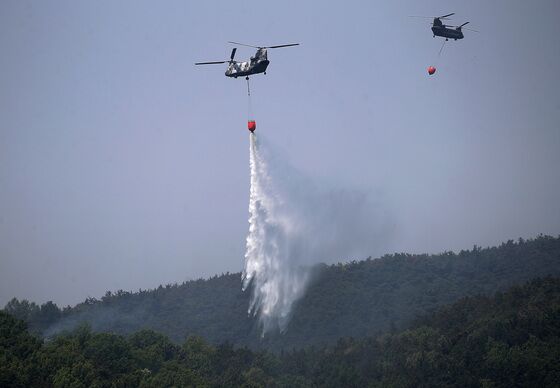 함지산 산불 확산…동서변·청보리숲유치원, 성북초·서변중 1일 휴교