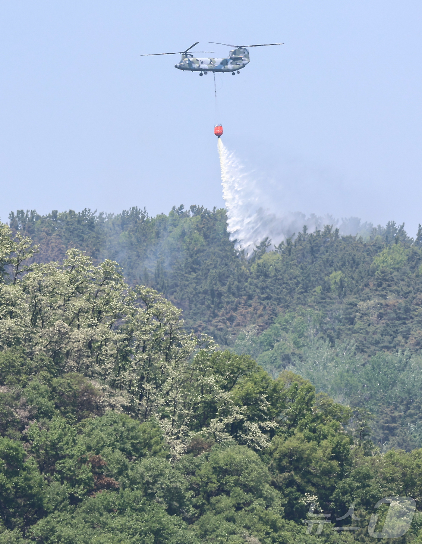 (대구=뉴스1) 김도우 기자 = 대구 북구 함지산 산불 이틀째인 29일 오후 산불 진화 작전에 투입된 군용 헬기가 함지산 상공에서 물을 뿌리고 있다. 2025.4.29/뉴스1