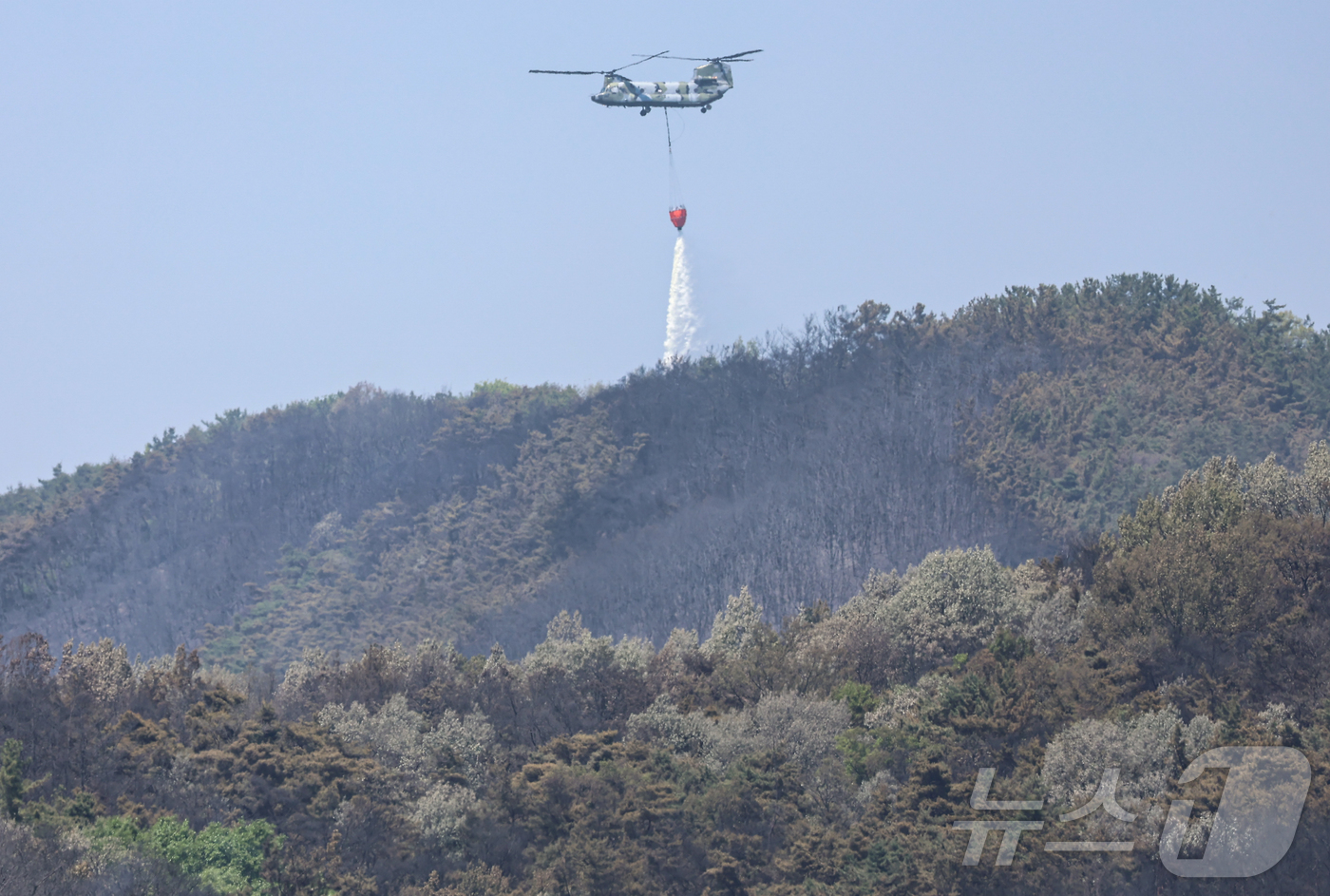 (대구=뉴스1) 김도우 기자 = 대구 북구 함지산 산불 이틀째인 29일 오후 산불 진화 작전에 투입된 군용 헬기가 함지산 상공에서 물을 뿌리고 있다. 2025.4.29/뉴스1