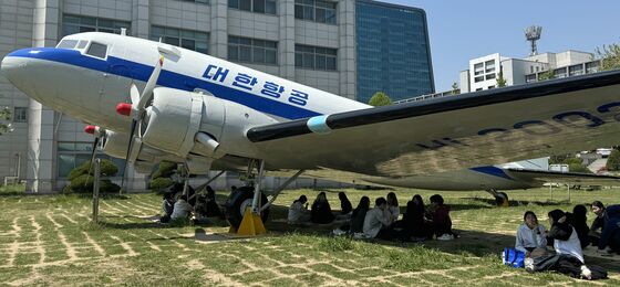 비행기가 만들어 준 그늘