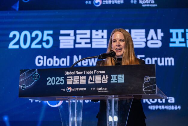 트럼프 1기 통상특보 "韓 조선·자동차, 관세협상 돌파구 될 것"