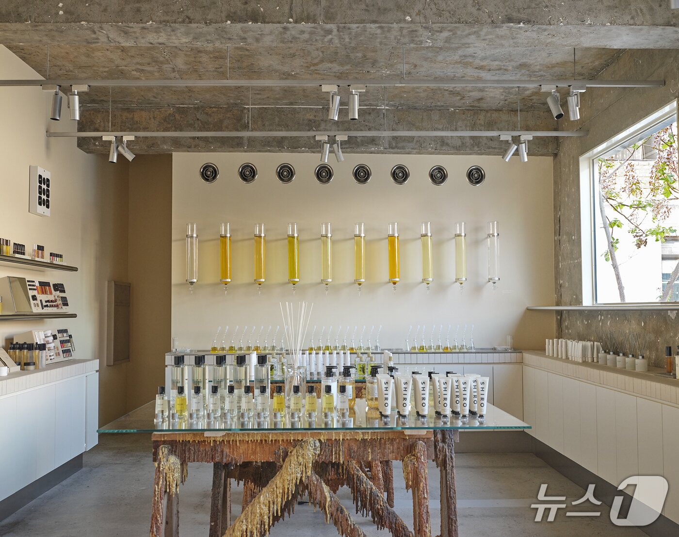 본문 이미지 - 시로 성수 플래그십 스토어의 '허브 블렌더 랩'.(시로 제공)