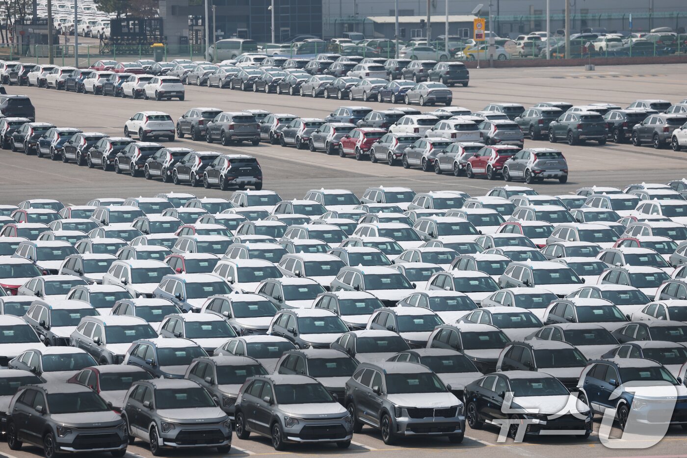 본문 이미지 - 3일 오후 경기 평택시 포승읍 평택항 자동차전용부두에 수출용 차량들이 세워져 있다. 미국 정부가 2일(현지시간) 한국산 수입품에 25%의 상호관세(reciprocal tariffs)를 부과한다고 공식 발표했다. 또한 트럼프 대통령은 이날 자동차에 대한 25% 관세는 3일 0시부터 부과할 계획이라고 재확인했다. 2025.4.3/뉴스1 ⓒ News1 김영운 기자