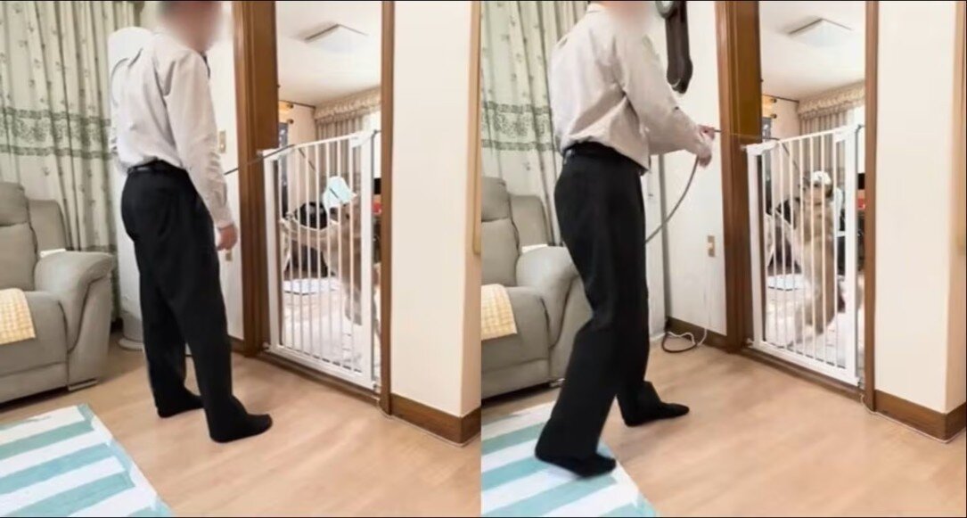 본문 이미지 - 최근 훈련이라는 명목으로 개를 목줄에 매달아 들어 올리고 벽에 내리치는 행위를 한 영상을 공유한 유튜버가 동물보호법 위반으로 벌금을 선고받았다&#40;사진 유튜브 갈무리&#41;. ⓒ 뉴스1