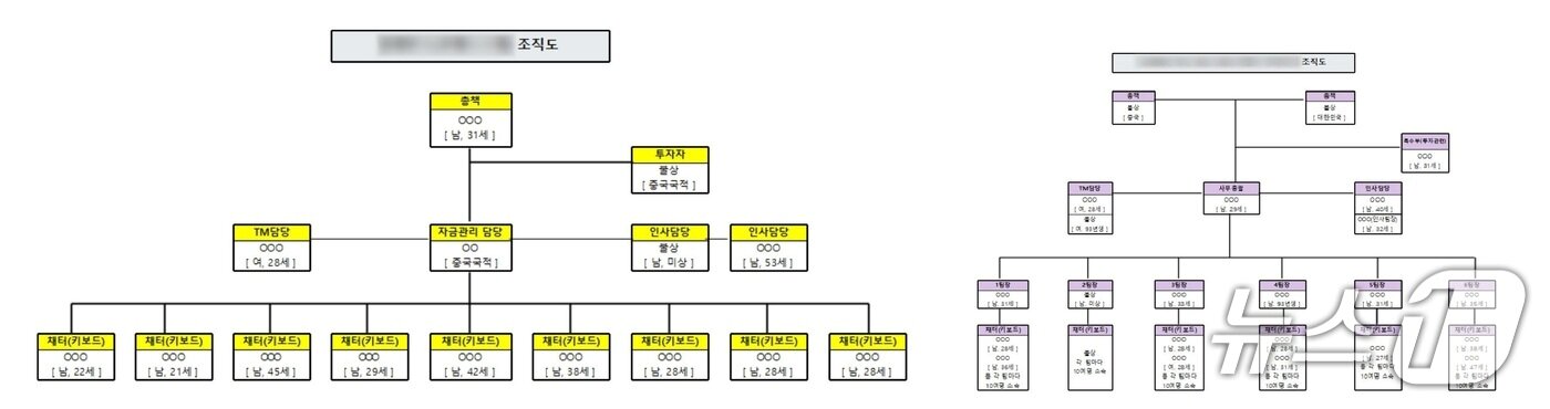 본문 이미지 - 범죄 조직도.(울산경찰청제공. 재판매 및 DB 금지)