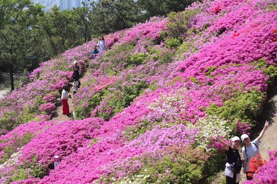[오늘의 날씨] 부산·경남(4일, 일)…강풍·경남내륙 큰 일교차