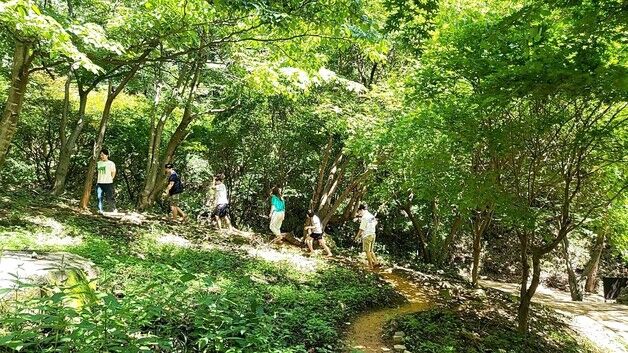 장수 '치유의 숲'…전북문화관광재단 웰니스 관광지 선정