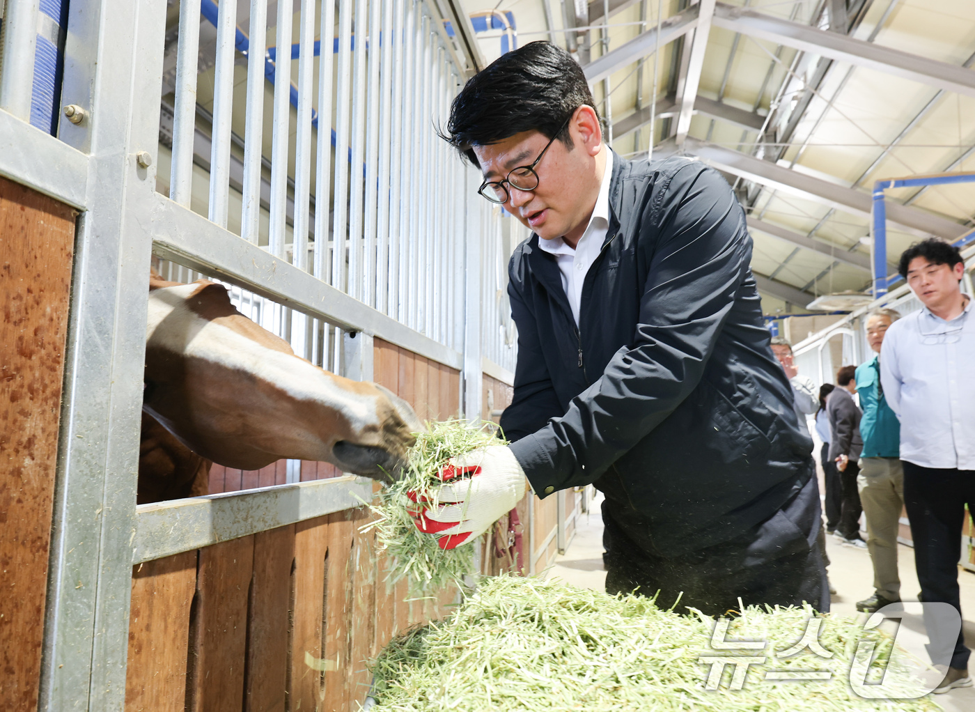 (서울=뉴스1) 이연주 기자 = 권재한 농촌진흥청장이 30일 전북 익산시 열풍건초 생산 실증 농가와 익산시 공공승마장을 방문해 국산 열풍건초 생산·유통 현황을 점검하고 있다. (농 …