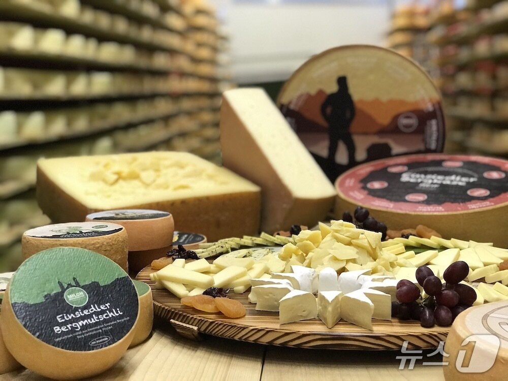 본문 이미지 - 치즈 시식(스위스정부관광청 제공)