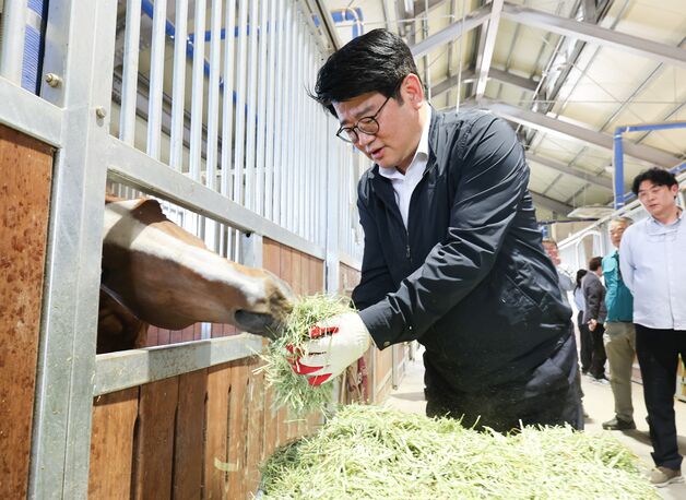 말 농가 사료비 줄여주는 '국산 열풍건초'…농진청, 생산기술 적극 보급