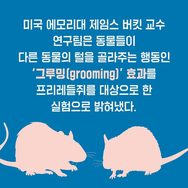 본문 이미지 - 세상에서 가장 재미있는 59가지 심리실험