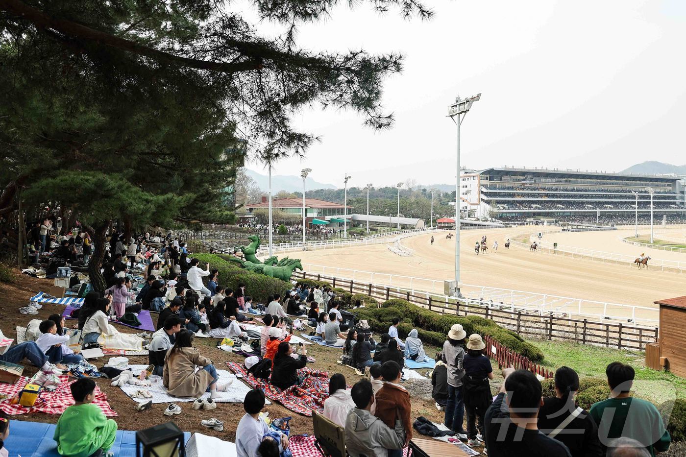 본문 이미지 - 2024년 렛츠런파크 서울서 펼쳐졌던 벚꽃 축제의 모습. (한국마사회 제공)