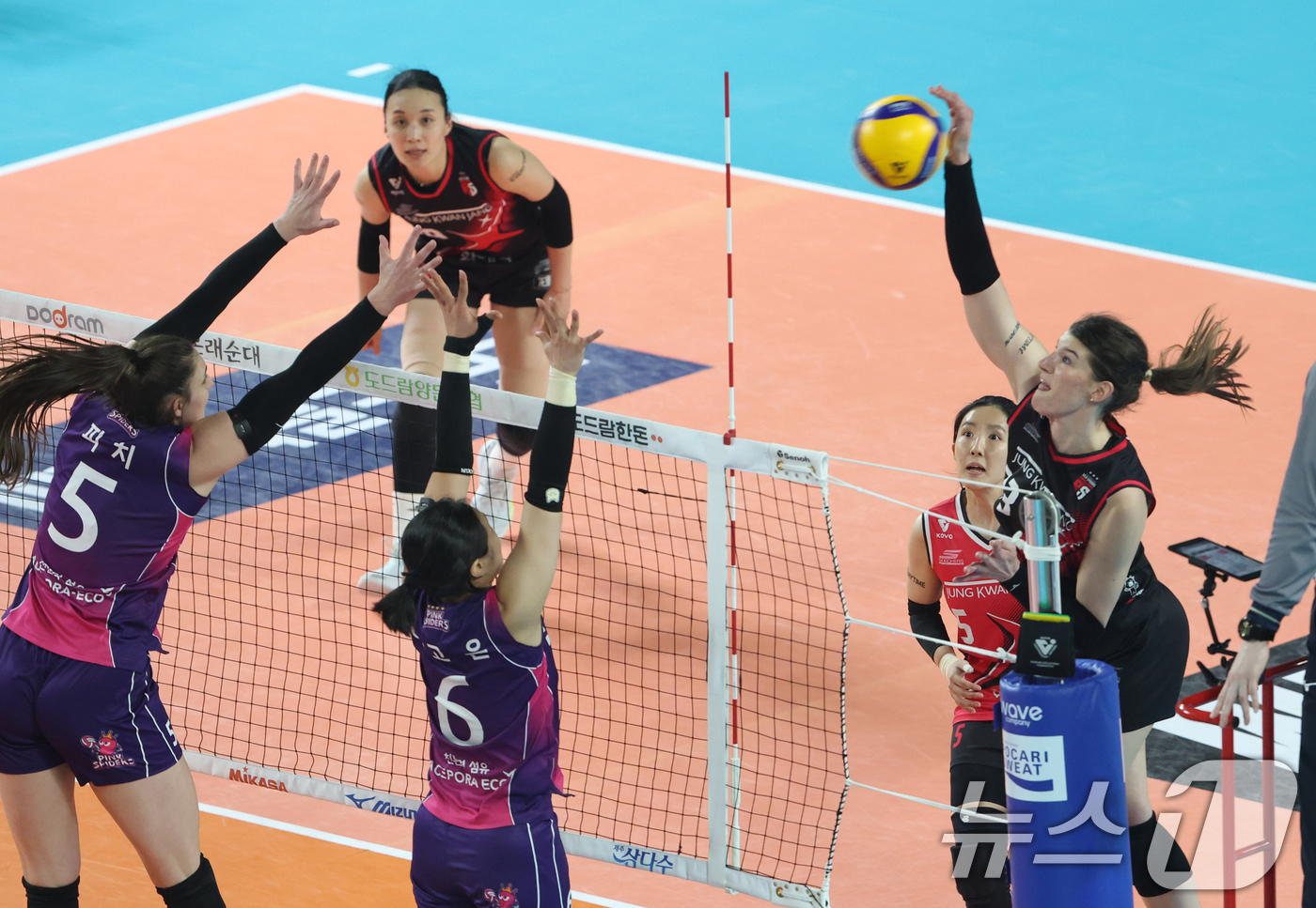 (대전=뉴스1) 김영운 기자 = 4일 오후 대전 중구 충무실내체육관에서 열린 프로배구 '2024-2025 도드람 V리그' 여자부 챔피언결정전 3차전, 정관장과 흥국생명의 경기에서 …