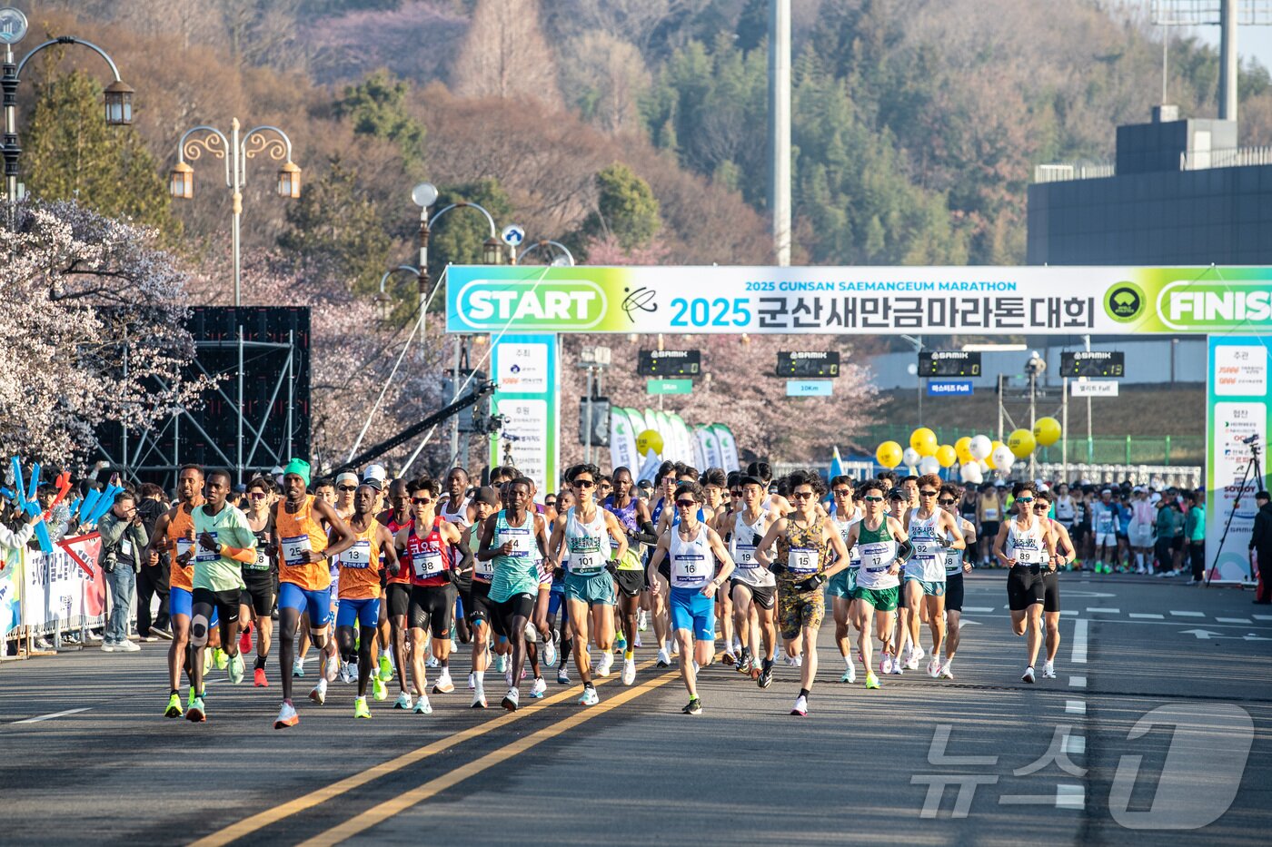 본문 이미지 - 마라톤 동호인 등 1만2000여명이 참석한 가운데 6일 '2025 군산새만금마라톤대회'가 열렸다.(군산시 제공. 재판매 및 DB금지)