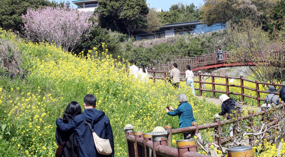 제주 여행 프로모션 '풍성'…설날 덕담 이벤트 등