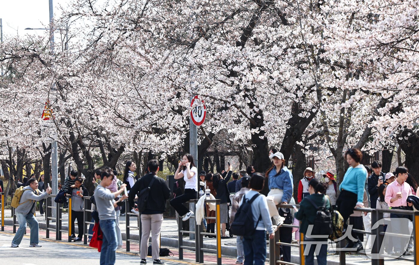 본문 이미지 - 6일 오후 서울 영등포구 여의도 윤중로를 찾은 시민들이 개화한 벚꽃을 감상하며 봄기운을 만끽하고 있다. ⓒ News1 김도우 기자