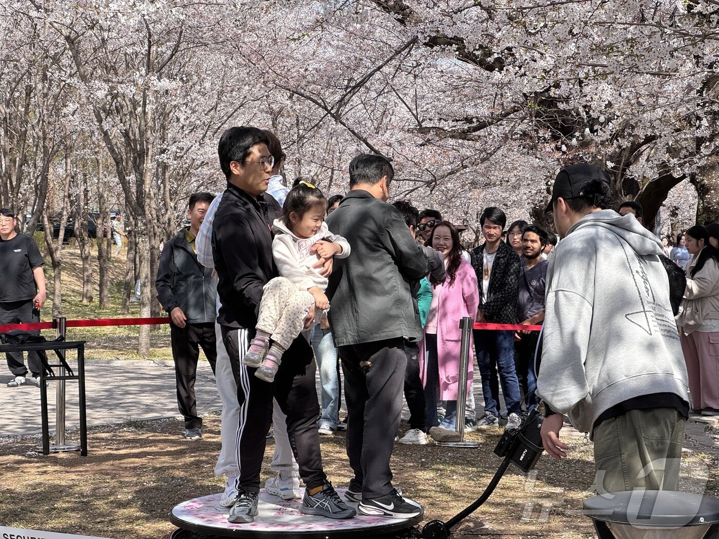 본문 이미지 - 6일 오후 울산 울주군 작천정 벚꽃길.카메라가 원판 주위를 한바퀴 회전하며 영상을 촬영하는 ‘360비디오부스’.2025.4.6./뉴스1 김세은 기자