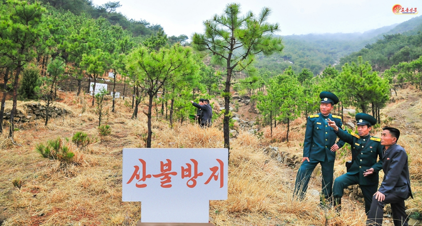 (평양 노동신문=뉴스1) = 북한 노동당 기관지 노동신문은 6일 배천군산림경영소에서 "산불방지 대책을 빈틈없이 세우는 데 최선을 다하고 있다"라고 보도했다. [국내에서만 사용가능. …