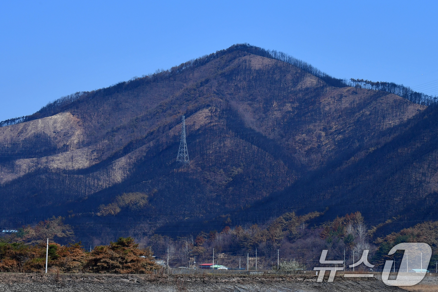 (영덕=뉴스1) 최창호 기자 = 7일 오전 산불피해 지역인 경북 영덕군 달산면 산이 온통 검은색으로 변해 있다.  2025.4.7/뉴스1