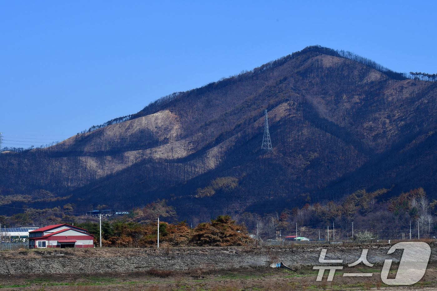 (영덕=뉴스1) 최창호 기자 = 7일 오전 산불피해 지역인 경북 영덕군 달산면 산이 온통 검은색으로 변해 있다. 2025.4.7/뉴스1