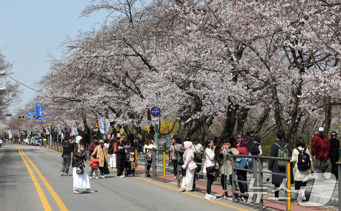 본문 이미지 - 7일 서울 영등포구 여의서로 벚꽃길에서 열리고 있는 2025 여의도 봄꽃축제를 찾은 시민들과 외국인 관광객들이 즐거운 시간을 보내고 있다.  2025.4.7/뉴스1 ⓒ News1 박세연 기자