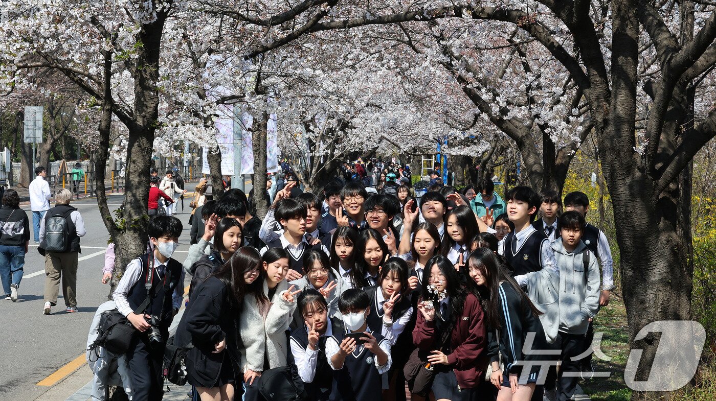 본문 이미지 - 7일 서울 영등포구 여의서로 벚꽃길에서 열리고 있는 2025 여의도 봄꽃축제를 찾은 여의도중학교 학생들이 사진을 찍으며 즐거운 시간을 보내고 있다.  2025.4.7/뉴스1 ⓒ News1 박세연 기자