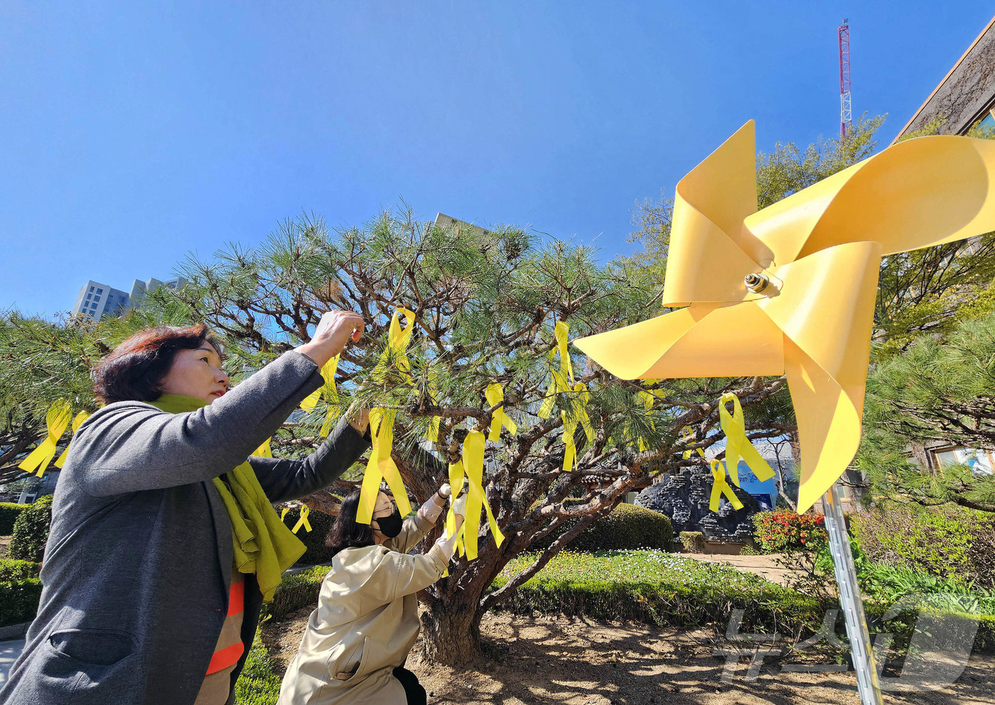 (광주=뉴스1) 박지현 기자 = 7일 광주 북구청 광장에서 구청 인권교육과 직원들이 세월호 참사 11주기를 맞아 광장 화단에 바람개비와 노란 리본 등을 설치하고 있다.(광주 북구 …