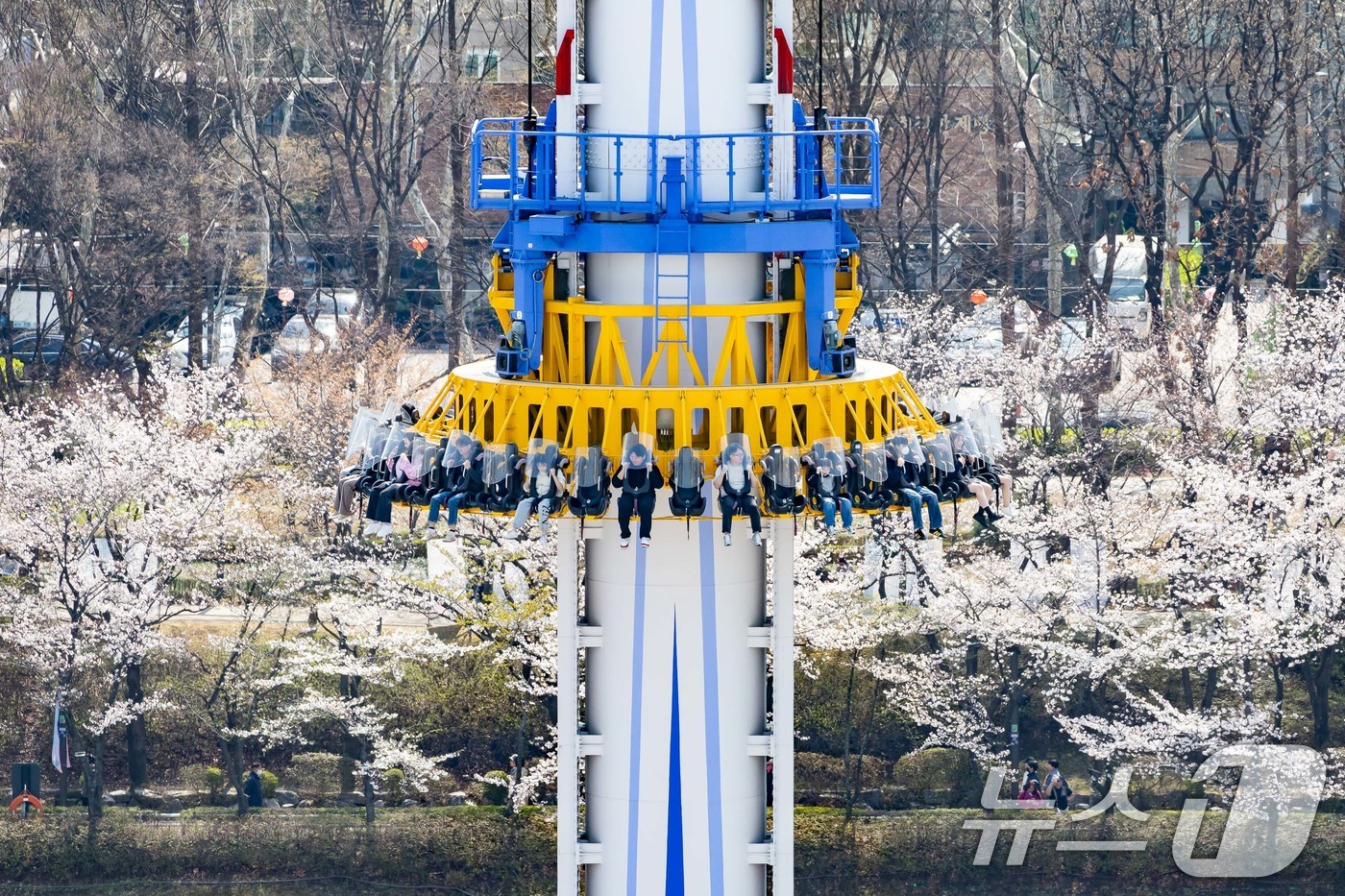 (서울=뉴스1) = 롯데월드가 롯데월드 어드벤처 인근 석촌호수에 벚꽃이 만개했다고 8일 밝혔다.사진은 지난 7일 벚꽃이 만개한 롯데월드 어드벤처 모습. (롯데월드 제공. 재판매 및 …