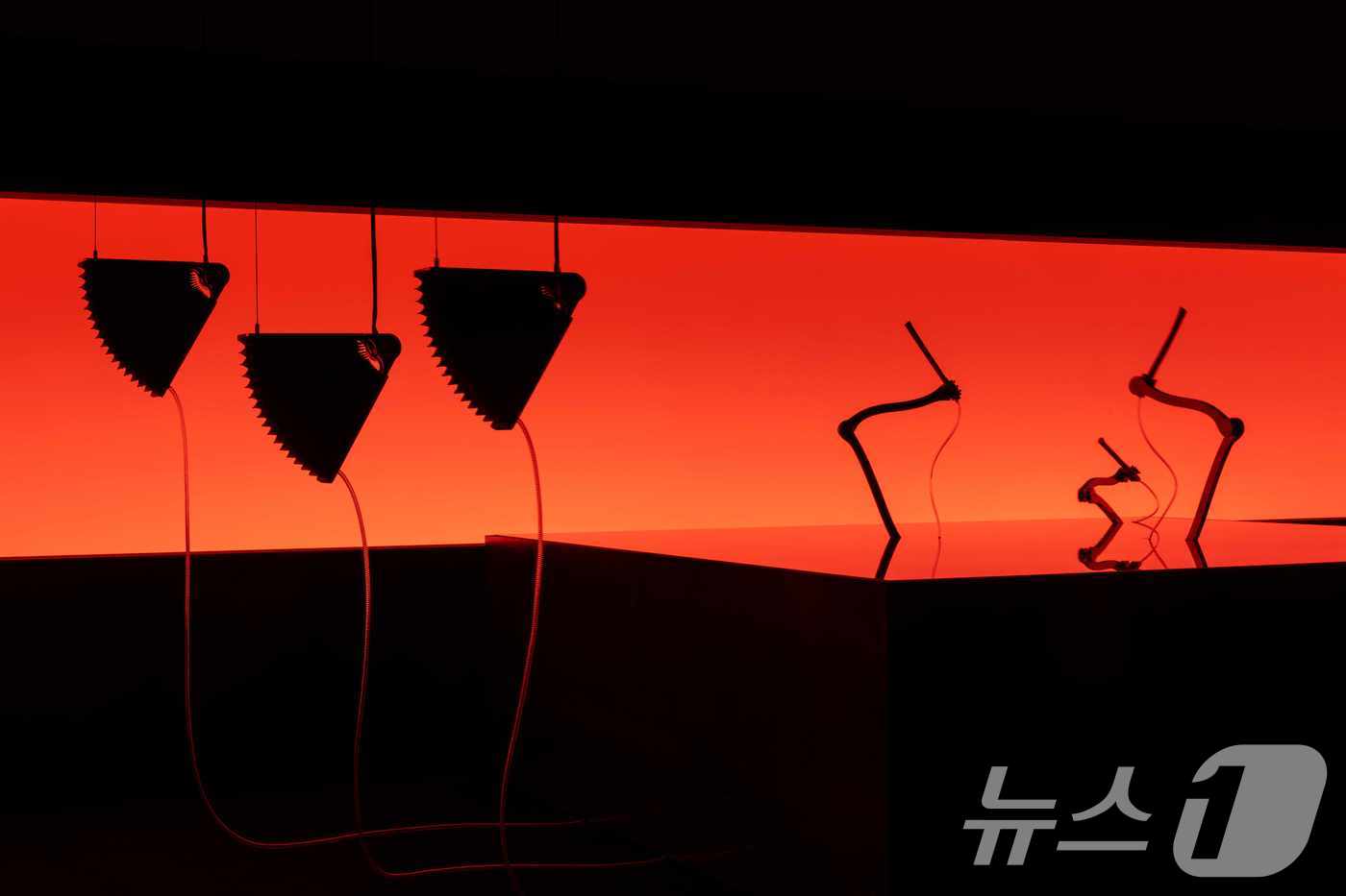 (서울=뉴스1) = 기아는 지난 7일(현지시간)부터 밀라노에서 개최되는 디자인·기구 박람회 '2025 밀라노 디자인 위크'에 3년 연속 참가해 단독 전시를 개최한다고 8일 밝혔다. …