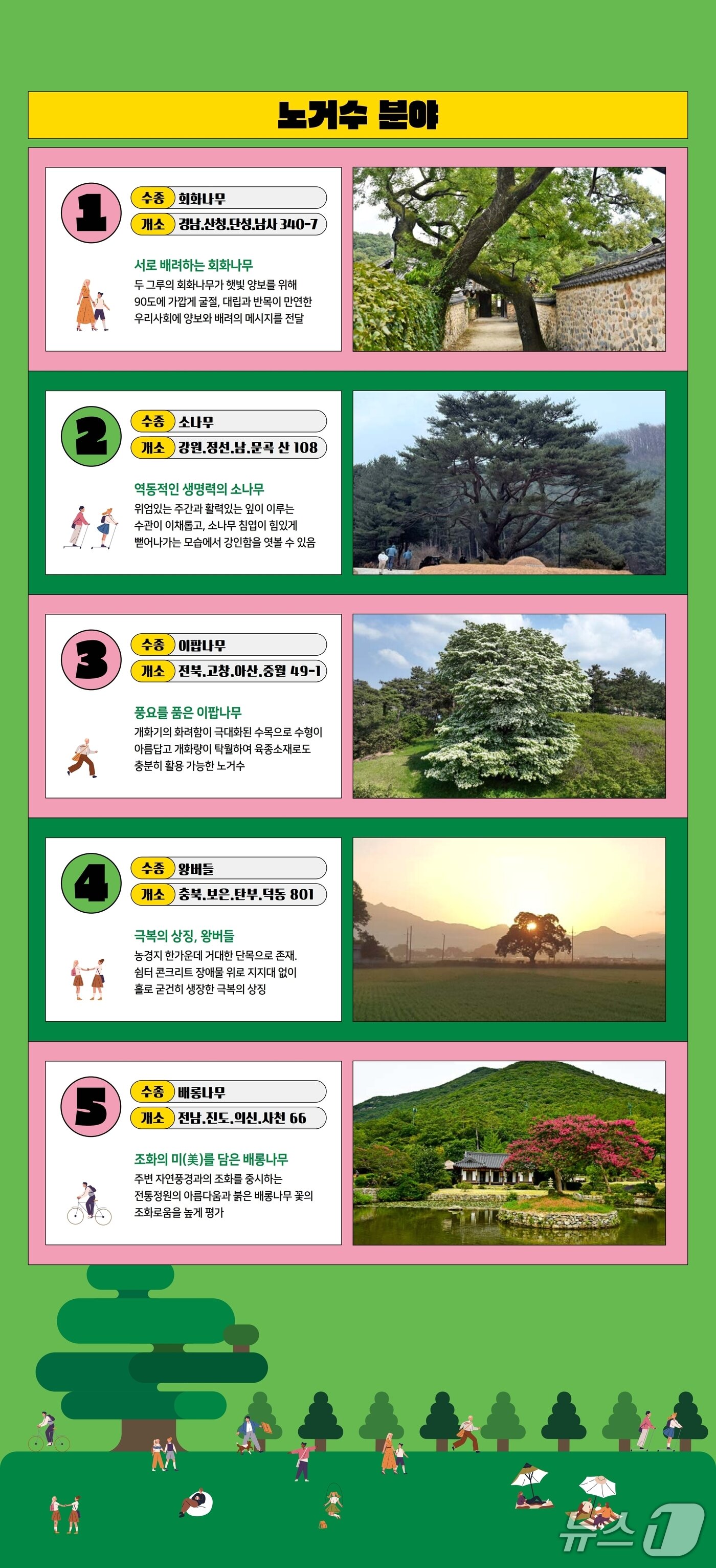 본문 이미지 -
