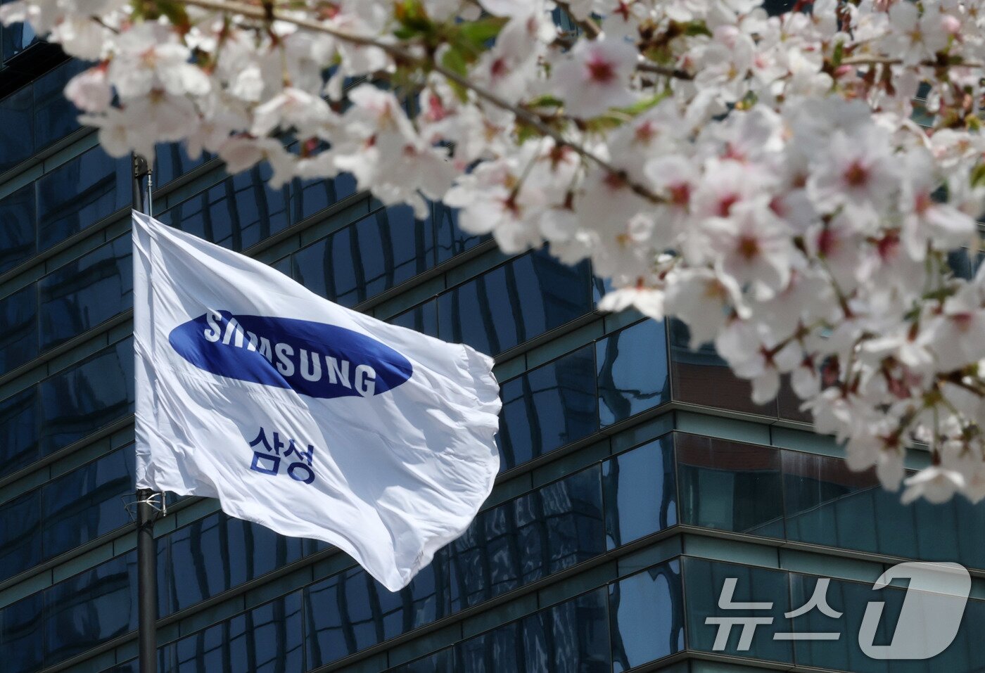 본문 이미지 - 8일 서울 서초구 삼성전자 서초사옥에 삼성 깃발이 바람에 펄럭이고 있다. 이날 삼성전자는 시장 전망치를 크게 웃돈 올해 1분기 매출액 79조 원, 영업이익 6조 6000억 원을 잠정 기록했다고 공시했다. 매출액은 전년 동기 대비 9.8% 증가했고 영업이익은 0.15% 줄었다. 2025.4.8/뉴스1 ⓒ News1 박세연 기자