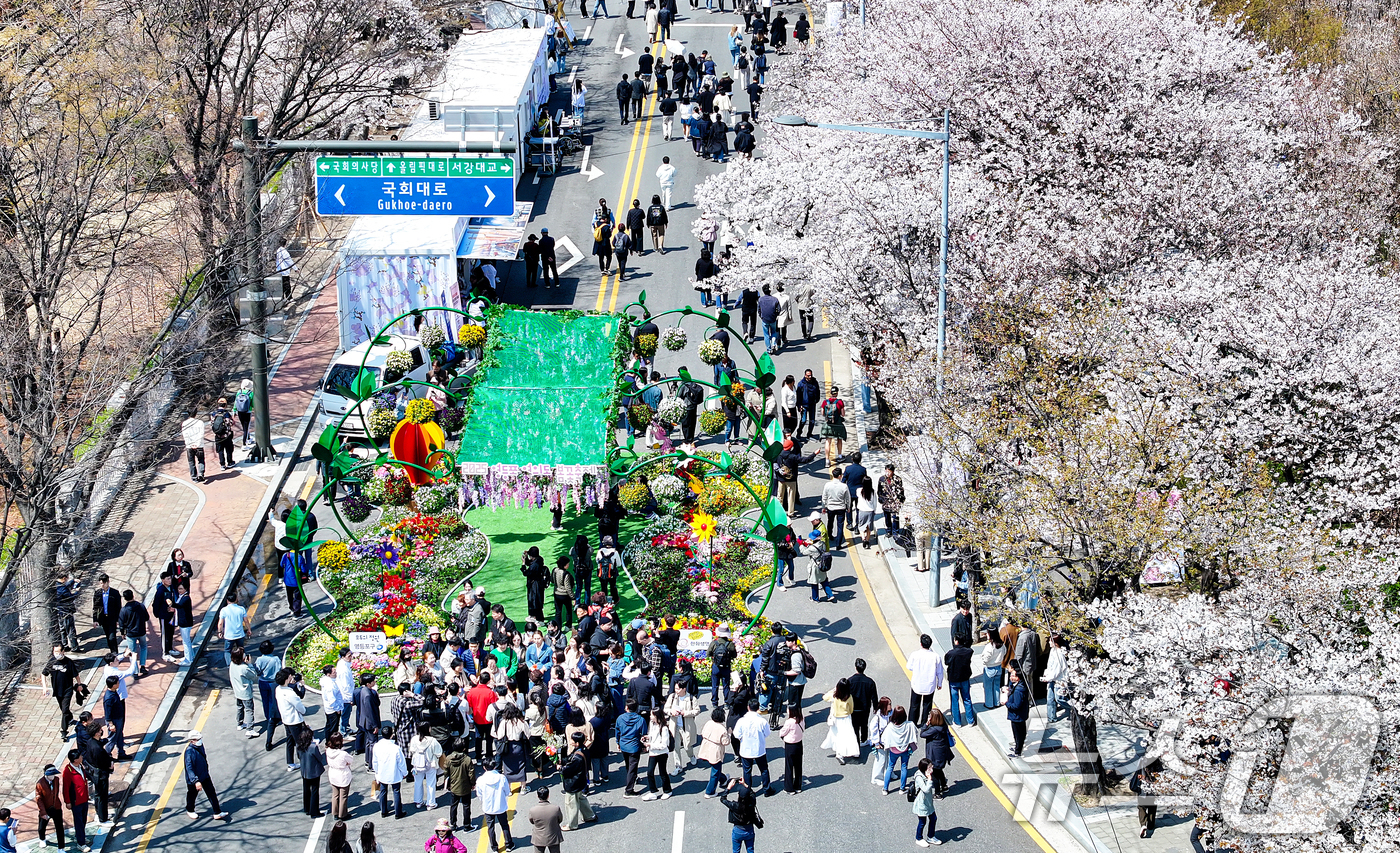 (서울=뉴스1) 김진환 기자 = 8일 서울 영등포구 여의도 윤중로에서 열리는 2025 여의도 봄꽃축제를 찾은 찾은 상춘객들이 벚꽃길을 걸으며 봄을 만끽하고 있다. 2025.4.8/ …