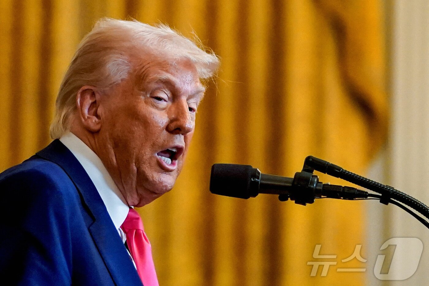 본문 이미지 - 도널드 트럼프 미국 대통령 ⓒ 로이터=뉴스1 ⓒ News1 류정민 특파원