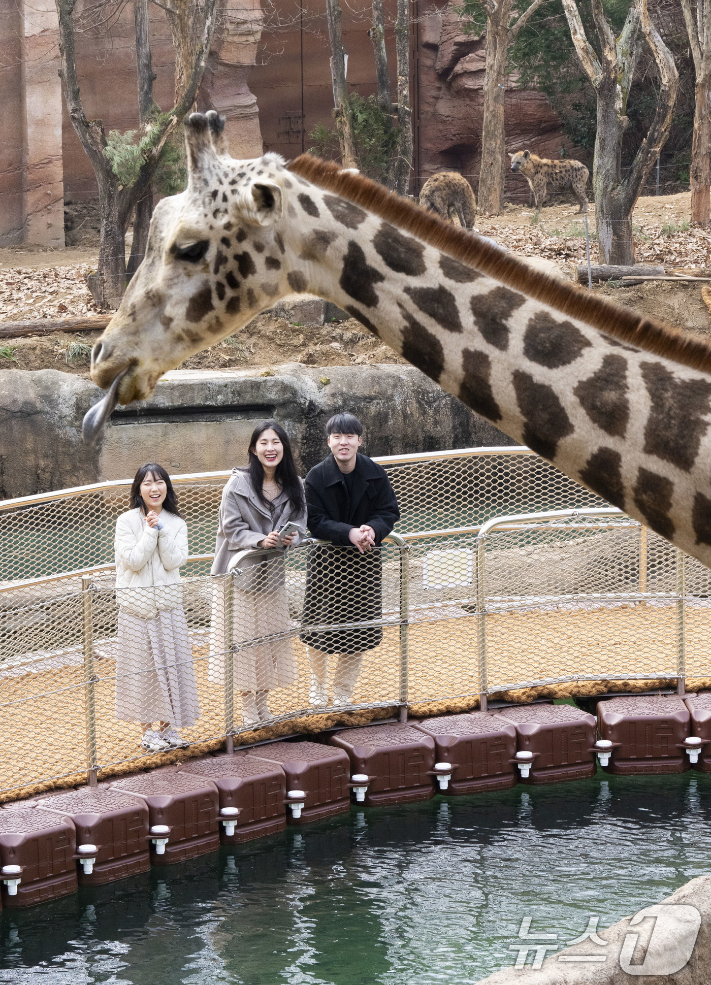 (서울=뉴스1) = 에버랜드가 올봄 튤립축제를 맞아 선보인 사파리 도보 탐험 프로그램 '리버 트레일 어드벤처'와 삼성 라이온즈와 콜라보한 '에버랜드 삼성 라이온즈 스토어'가 고객들 …