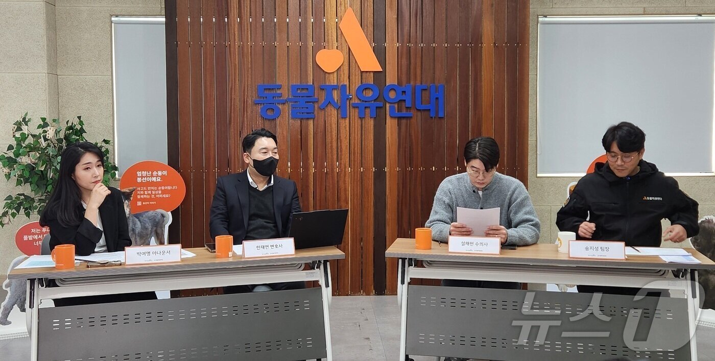 본문 이미지 - 설채현 수의사와 동물자유연대는 지난해 12월 &#39;훈육과 학대 사이&#39;를 주제로 라이브 방송을 진행했다. ⓒ 뉴스1 한송아 기자