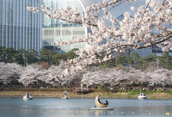 서울 봄꽃길 175선 선정…251㎞ 구간 4개 테마로 즐긴다