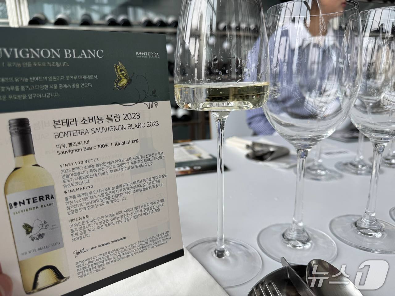 본문 이미지 - &#39;본테라&#39;의 유기농 와인 &#39;본테라 소비뇽 블랑&#39; 2025.4.9/뉴스1 ⓒ News1 이강 기자