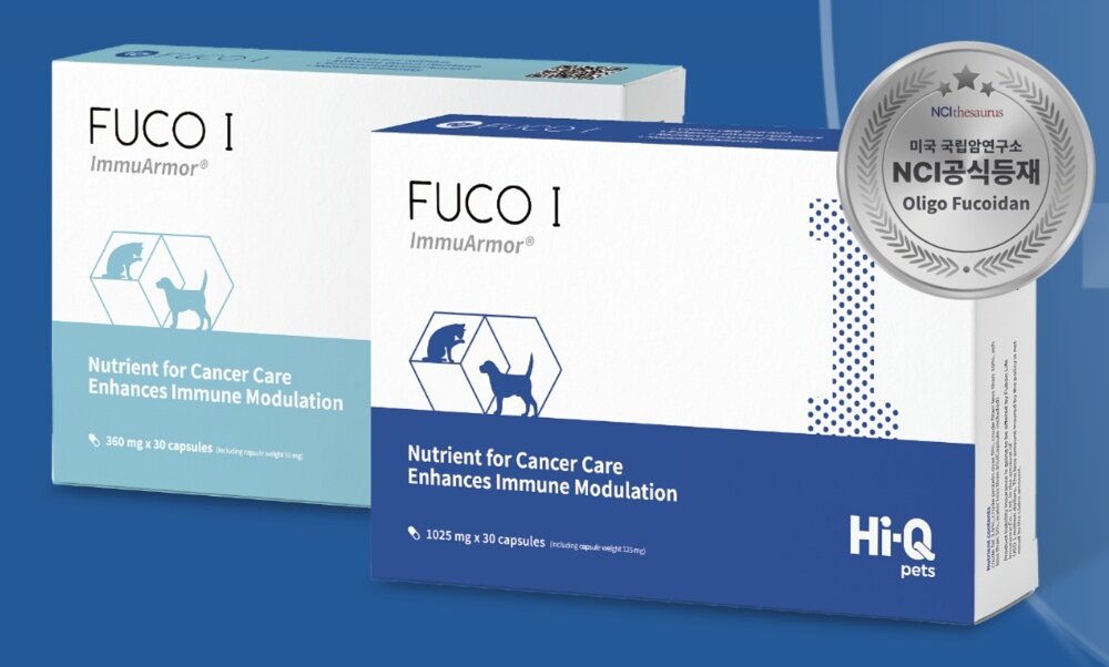 본문 이미지 - 하이큐펫츠의 동물병원 전용 면역·종양 영양보조제 후코아이는 암세포 사멸 촉진과 면역 밸런스 유지에 도움을 준다(신교무역 제공). ⓒ 뉴스1