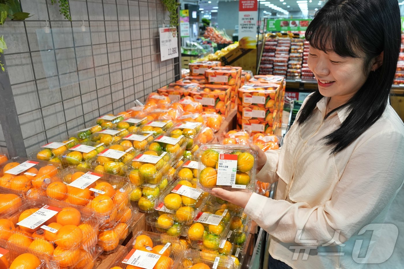 (서울=뉴스1) = 롯데마트는 1일부터 올해 첫 수확한 ‘제주 GAP 하우스 감귤(500g/팩)’ 판매한다고 밝혔다. 사진은 롯데마트 제타플렉스 잠실점 과일 코너에서 하우스 감귤을 …