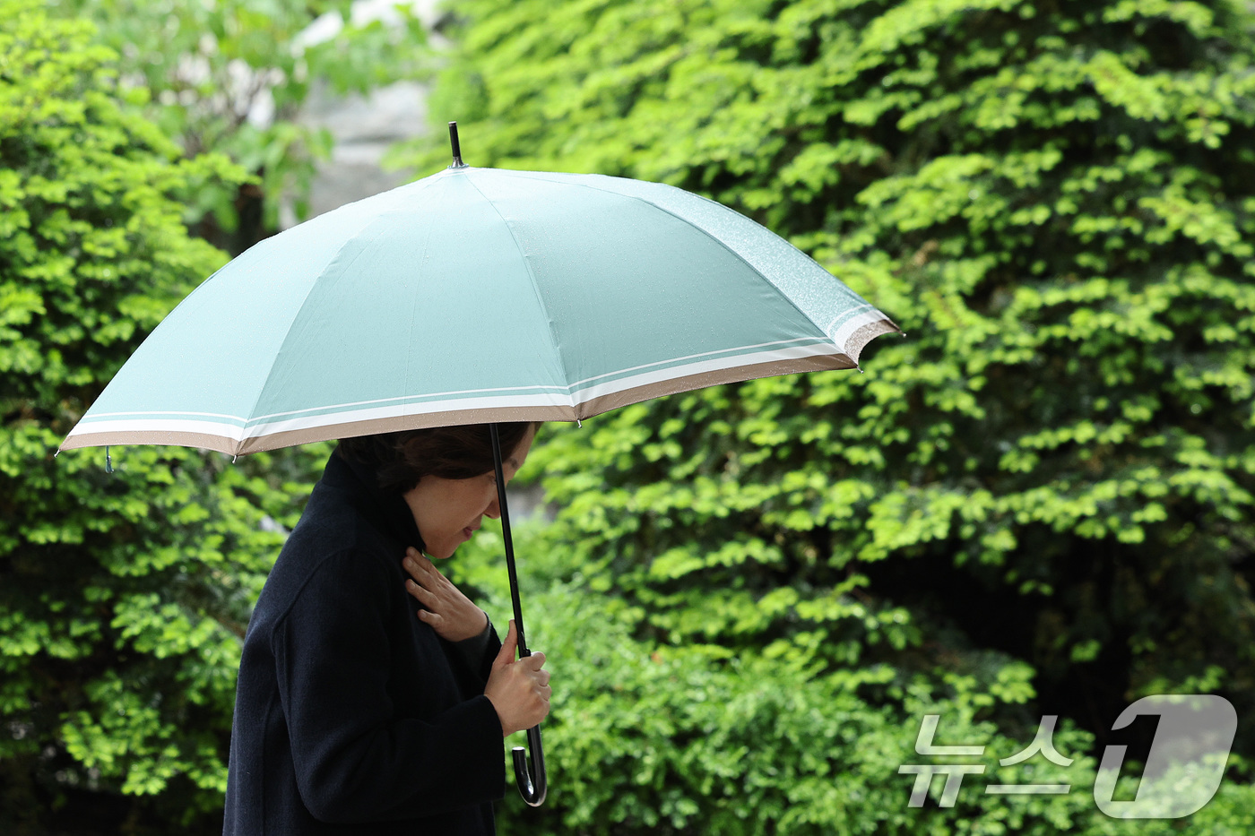 (서울=뉴스1) 신웅수 기자 = 서울을 비롯한 수도권 일대에 비가 내린 1일 서울 강남구 코엑스 일대에서 우산을 쓴 시민들이 걸음을 옮기고 있다. 2025.5.1/뉴스1