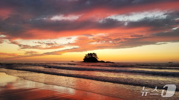 본문 이미지 - 충남도는 2025∼2026 충남 방문의 해를 맞아 특정 시군을 홍보하는 ‘이달의 충남’ 콘텐츠를 운영 중인 태안을 5월의 관광지로 태안을 선정했다.  사진은 학암포해수욕장. (충남도 제공. 재판매 및 DB 금지) 2025.5.1/뉴스1
