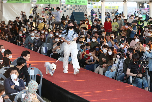 반려동물 문화 대축제 '2025 임실N펫스타' 3일 오수서 개막