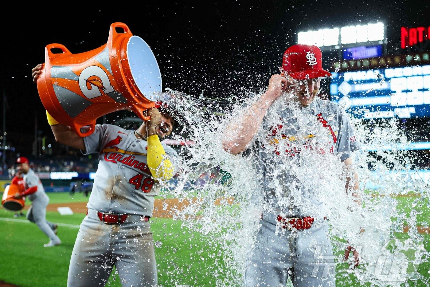 본문 이미지 - 완봉승을 거둔 페디를 동료들이 축하하고 있다. ⓒ AFP=뉴스1