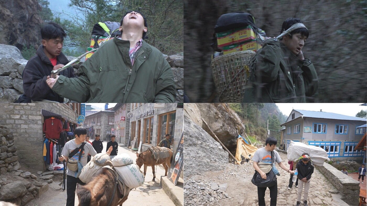 본문 이미지 - MBC 태계일주4