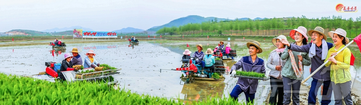 (평양 노동신문=뉴스1) = 북한 노동당 기관지 노동신문은 12일 강서구역 청산농장에서 올해 모내기가 시작됐다고 보도했다. 농장 일꾼들과 농장원들은 모내기를 최적기에 질적으로 끝내 …