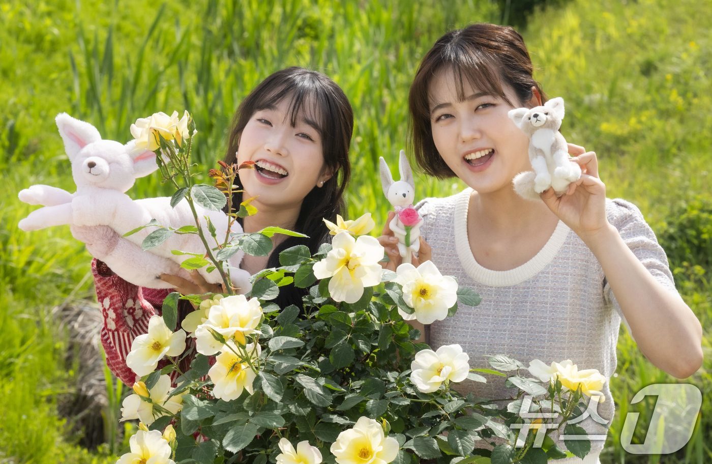 (서울=뉴스1) = 에버랜드가 오는 15일부터 한 달간 새로운 컨셉의 장미축제 '에버랜드 로로티'를 개최한다고 12일 밝혔다.사진은 에버랜드가 자체 개발한 장미 품종 앞에서 사막여 …