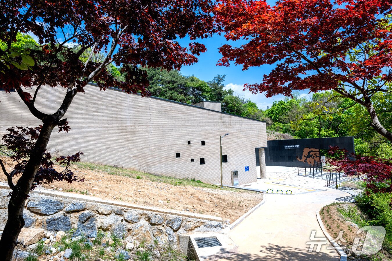 본문 이미지 - 제천 점말동굴 유적체험관.(제천시 제공)/뉴스1 