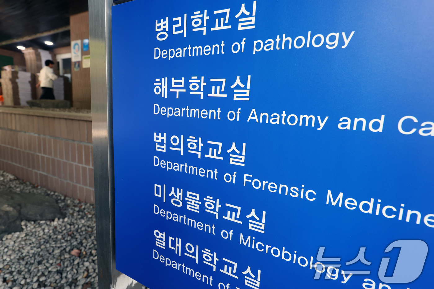 (서울=뉴스1) 황기선 기자 = 전국 40개 의과대학 학생 총 1만 9475명 가운데 8305명이 유급, 46명이 제적 처리된다. 정부의 거듭된 복귀 호소에도 불구하고 의대생 10 …